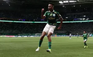 BRASILEIRÃO: Domingo com Palmeiras, Flamengo, São Paulo e muito mais