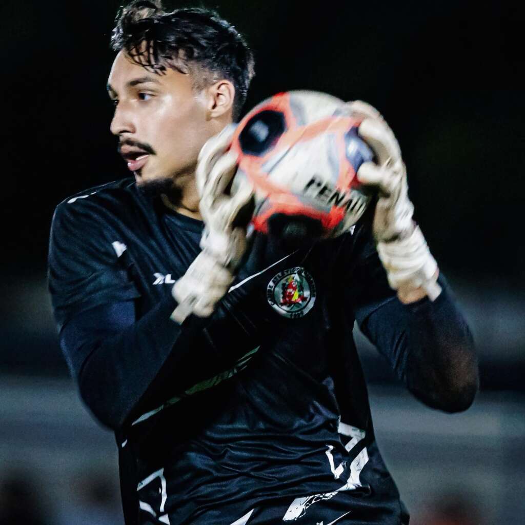 gustavo martinelli assisense