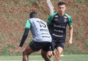 Maringá x São Bernardo - Dogão recebe segundo desafio paulista