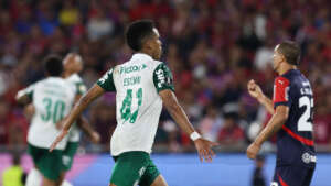 LIBERTADORES: Palmeiras se classifica, Bahia perde a invencibilidade e Fla se complica