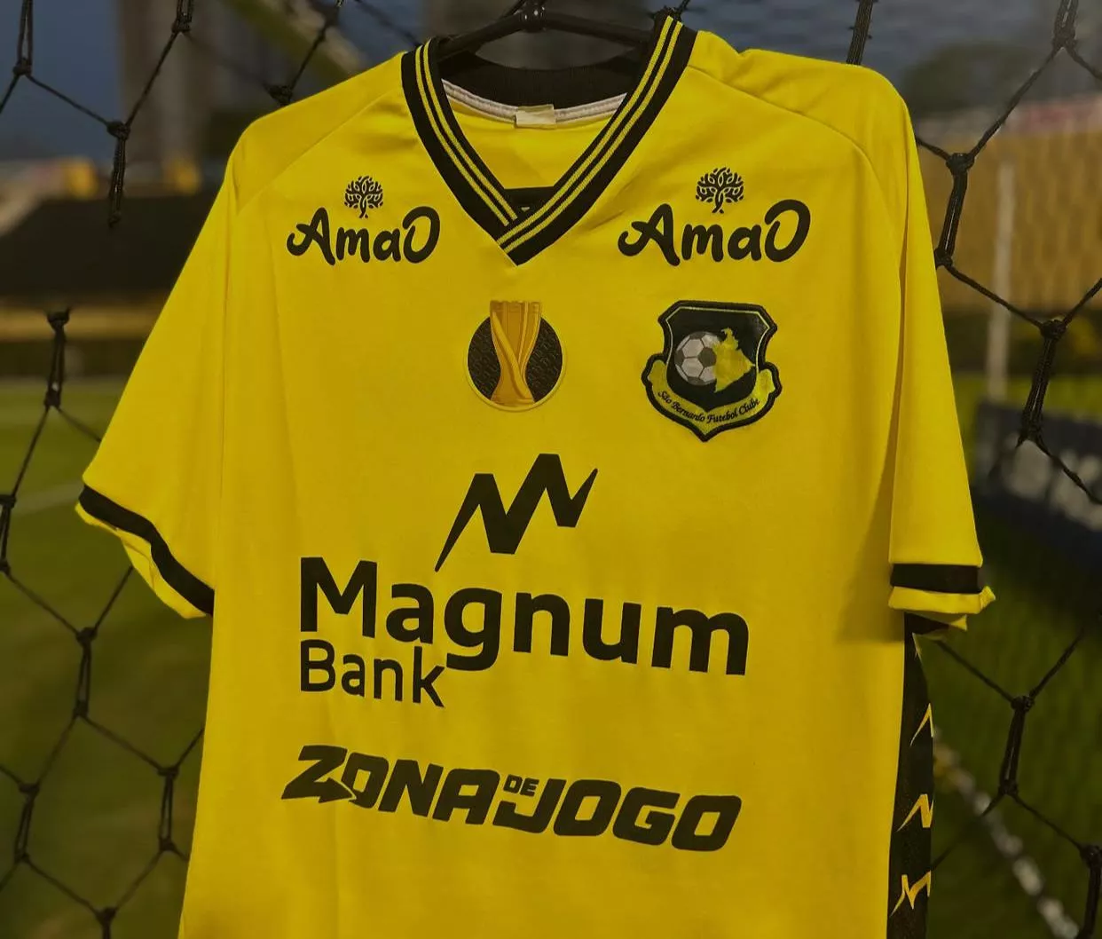 São Bernardo está na 10ª colocação do Brasileiro Série C (Foto: Fábio Gulo / Agência São Bernardo)