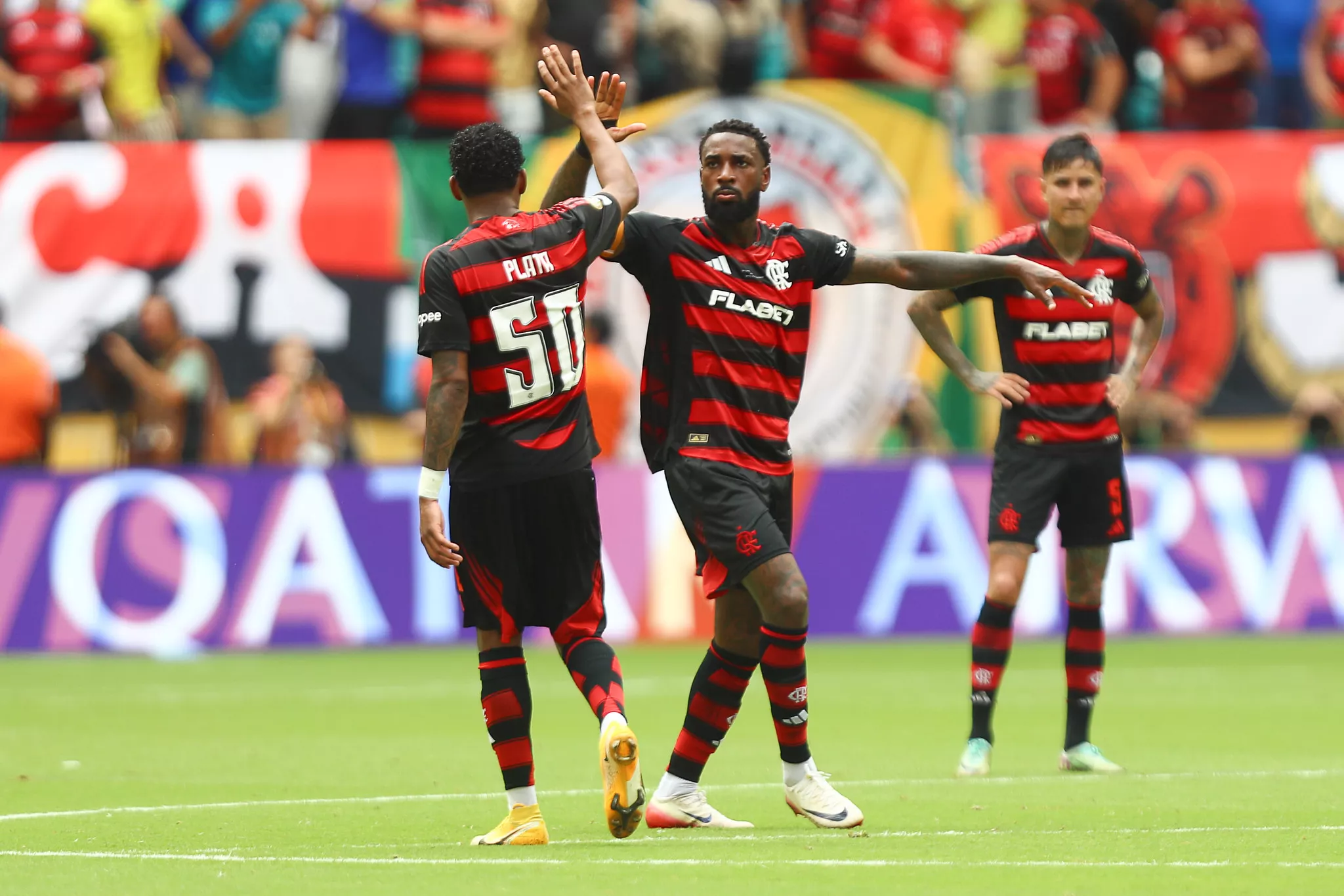 54622392648 ed74d2d13b k