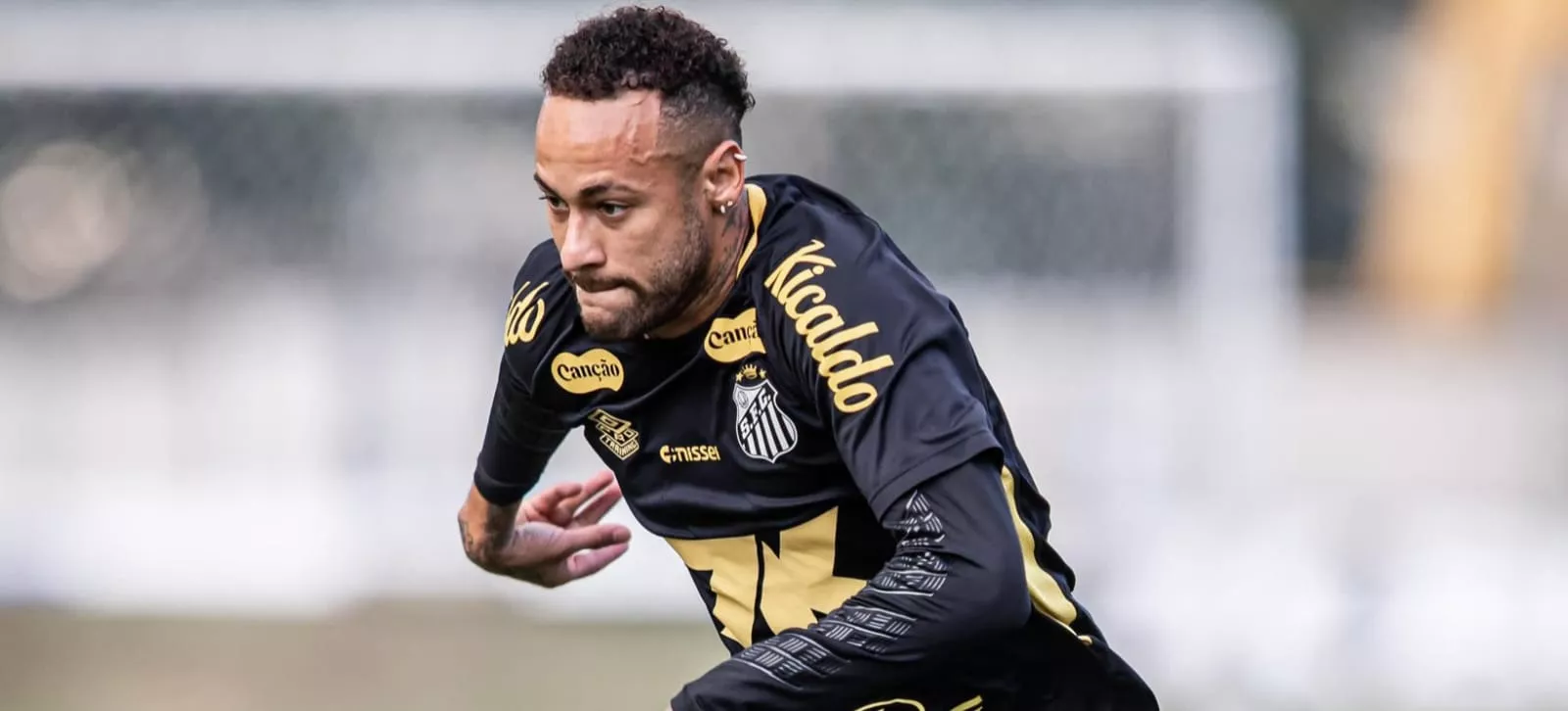 Foto: Raul Baretta/ Santos FC