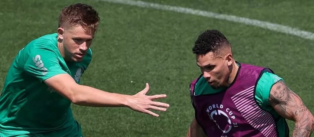 Mr7wuqrA Palmeiras 2