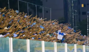 Série B: Paysandu mira recorde de público na Curuzu contra a Ferroviária