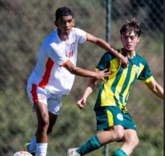 Desportivo Brasil