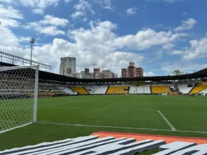 Clubes brasileiros investem e transformam o esporte um aliado do meio ambiente