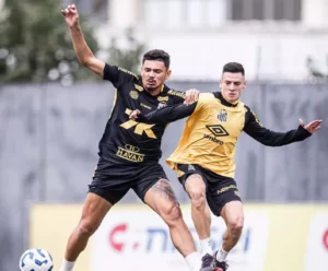Santos x Botafogo - Peixe precisa vencer para sair do Z4 e fugir da crise