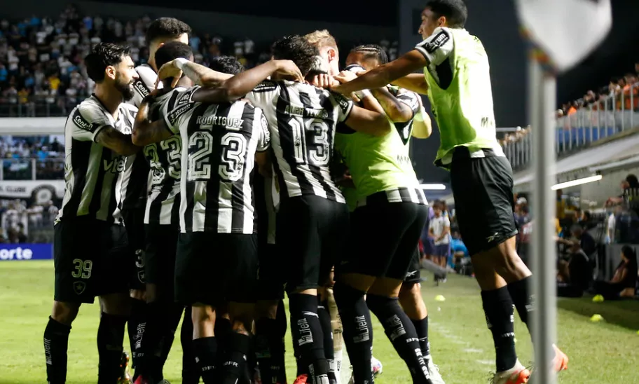 Santos 0 x 1 Botafogo - Fogão vence e afunda o Peixe no Z4 do Brasileirão 3 lCBj8iSi image