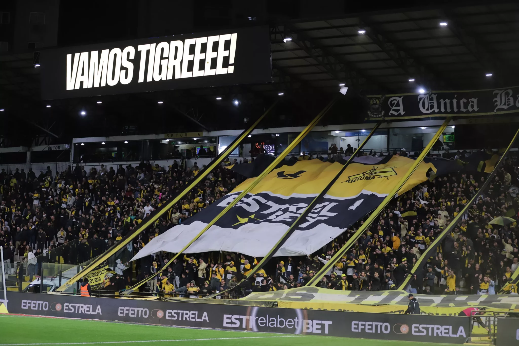 Criciúma: meio-campista é desfalque em treinamento 4 Criciúma