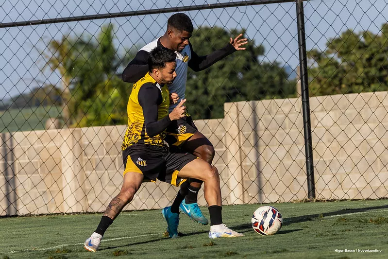 Meia celebra estreia no Novorizontino e projeta sequência da Série B 4 Meia celebra estreia pelo Novorizontino 4