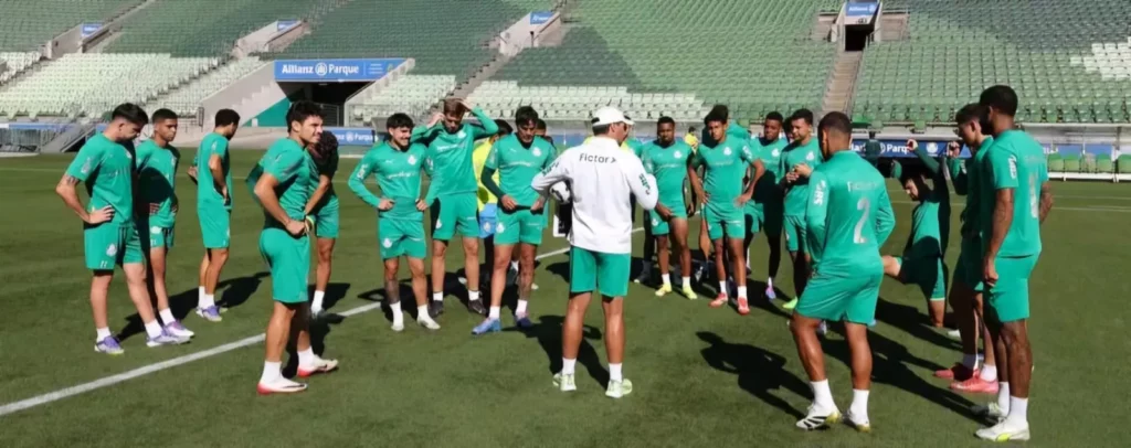 Palmeiras e WTorre planejam trocar o gramado do Allianz Parque