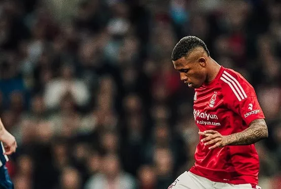 Botafogo mira Danilo, ex-Palmeiras, para substituir Gregore
