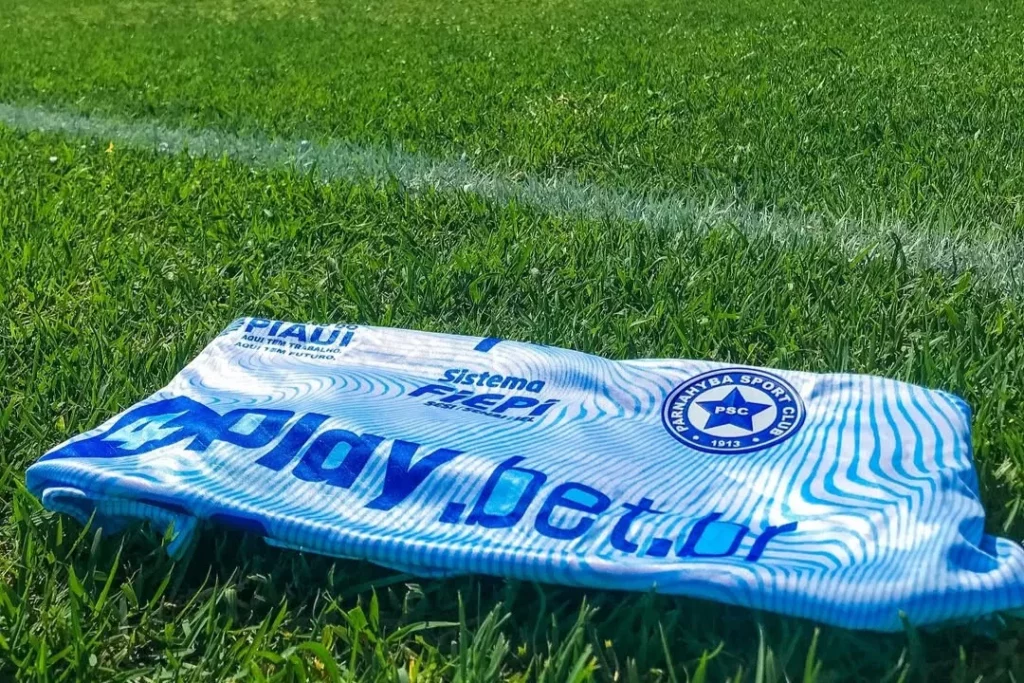 Parnahyba cai na Série D e não terá calendário nacional em 2026 2 Parnahyba cai na Série D e não terá calendário nacional em 2026 (Foto: Divulgação)