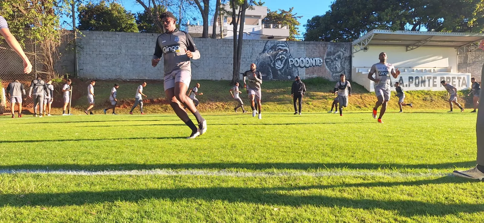 WhatsApp Image 2025 07 29 at 17.02.53