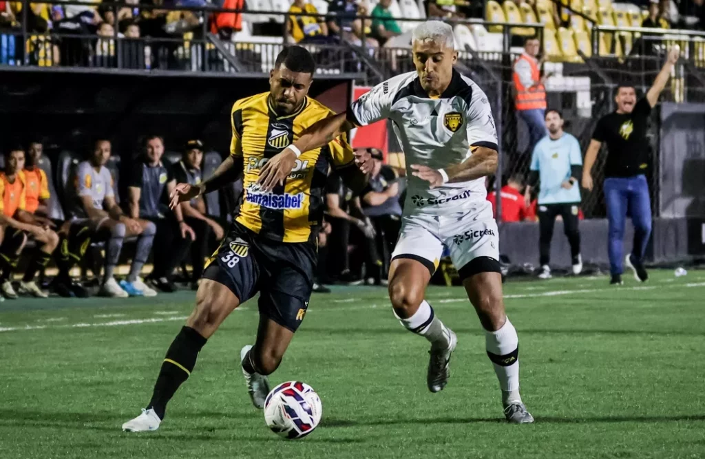 Botafogo-SP x Novorizontino - Onde assistir e escalações! 5 Foto: Higor Basso / Novorizontino