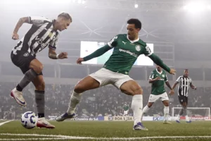 Botafogo 0 x 1 Palmeiras - Verdão é letal e dorme vice-líder do Brasileiro
