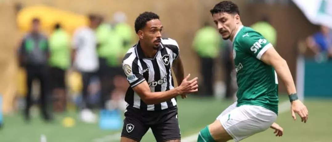 Botafogo x Palmeiras &#8211; Onde assistir, horário e escalações