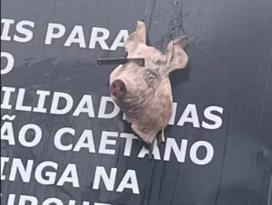 Cabeça de porco com faca é pendurada por torcedores do Corinthians antes de clássico com Palmeiras