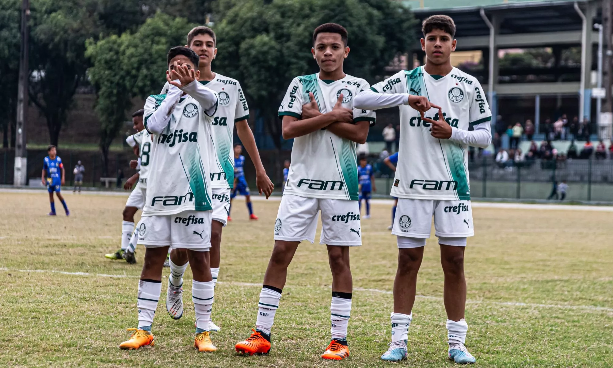 PALMEIRAS