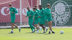 Universitario (PER) x Palmeiras - Onde assistir, escalações e arbitragem