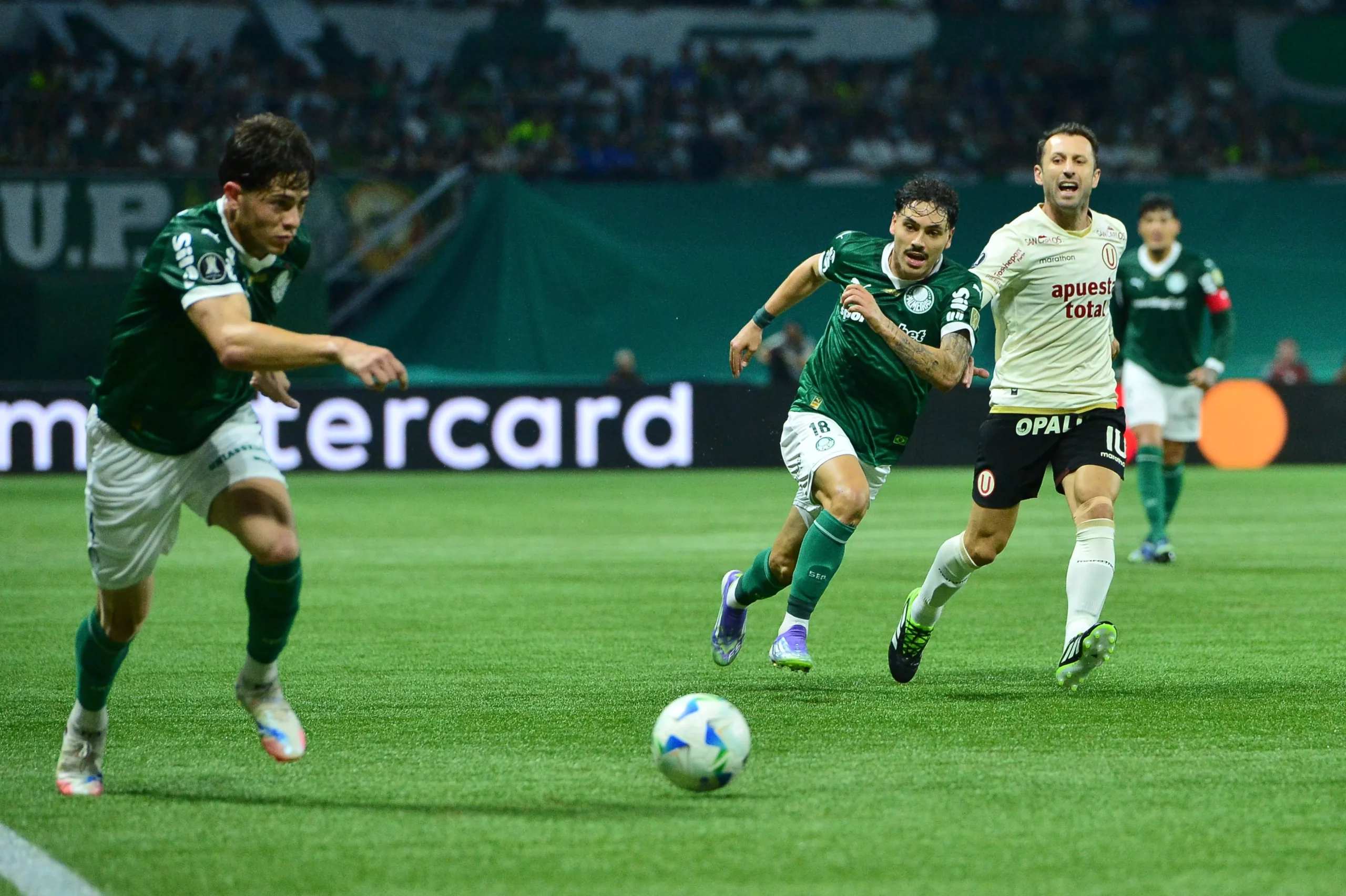 LIBERTADORES: Palmeiras fica no zero e avança; Botafogo é eliminado
