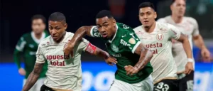 Patrocinadora da Libertadores plantará 3 árvores por gol no torneio