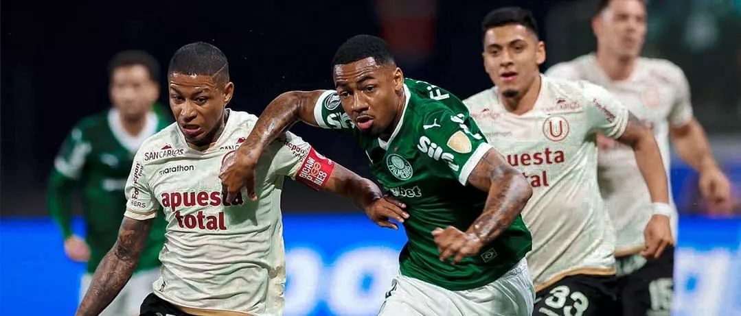 Patrocinadora da Libertadores plantará 3 árvores por gol no torneio