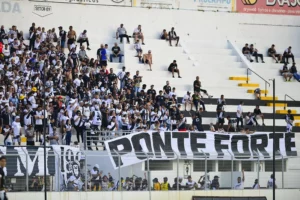 Torcidas organizadas da Ponte Preta se unem para pagar 'bicho' em caso de acesso na Série C