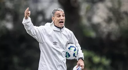 Vojvoda. Foto: Raul Baretta/Santos