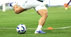 Allianz Parque terá novo gramado sintético em obra de R$ 10 milhões