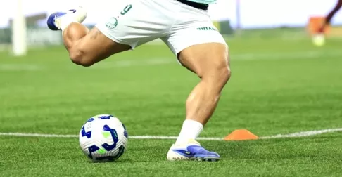 Foto: Lucas Chagas/SE Palmeiras