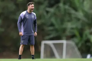 Botafogo x Bahia - Onde assistir e escalações!