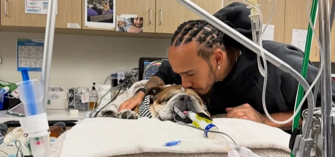 Hamilton anuncia a morte de seu cão e se emociona: ‘Doloroso’