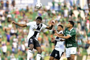 Série C: Ponte Preta e Guarani lideram chances de acesso; Veja números