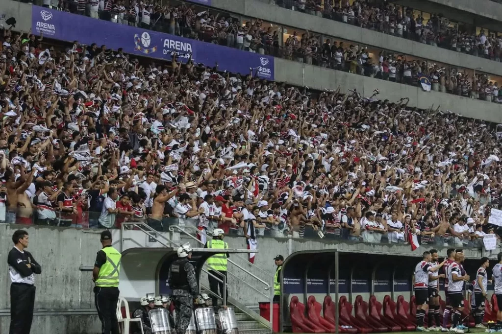 Torcida do Santa Cruz se destaca e supera grandes clubes da Série A (Foto: Evelyn/Santa)