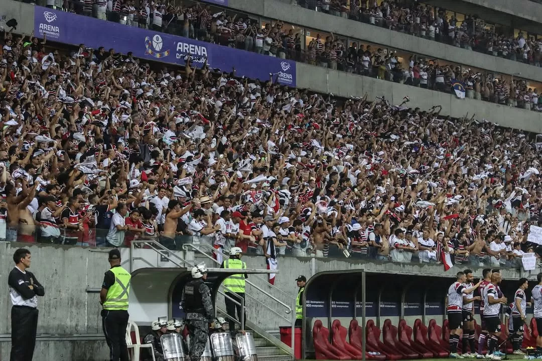 Torcida do Santa Cruz se destaca e supera grandes clubes da Série A (Foto: Evelyn/Santa)