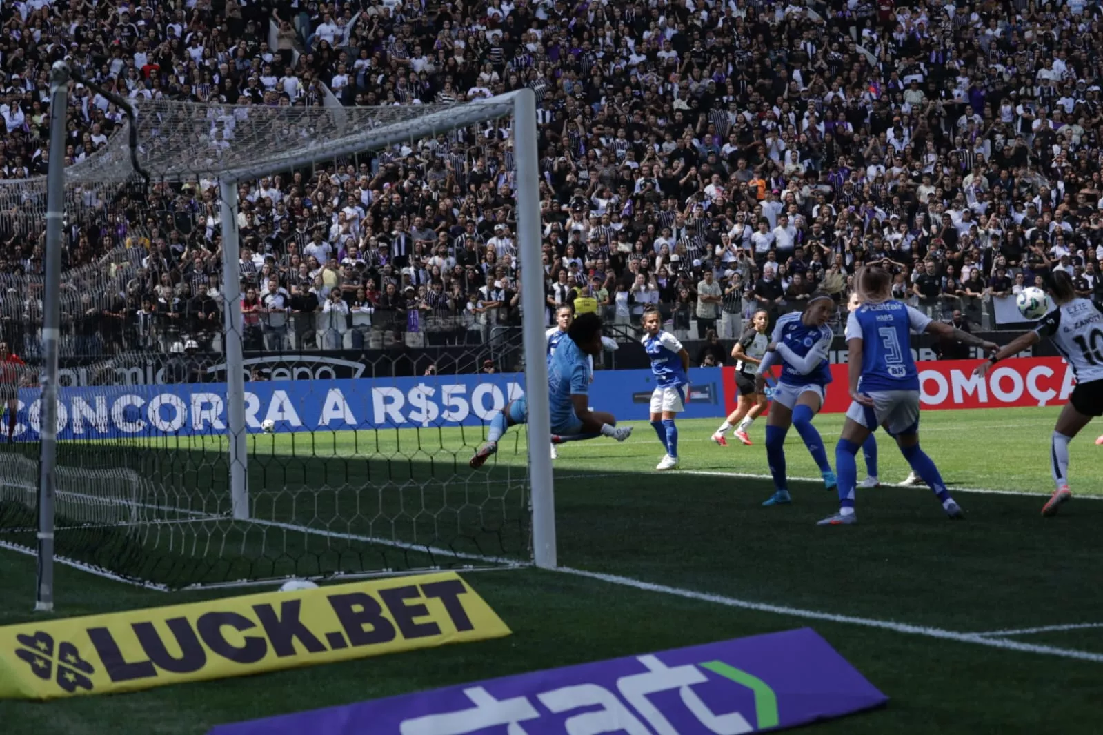 Show de imagens! Veja o título do Corinthians pelas lentes de Reinaldo Calçade 11 WhatsApp Image 2025 09 14 at 13.01.01 1