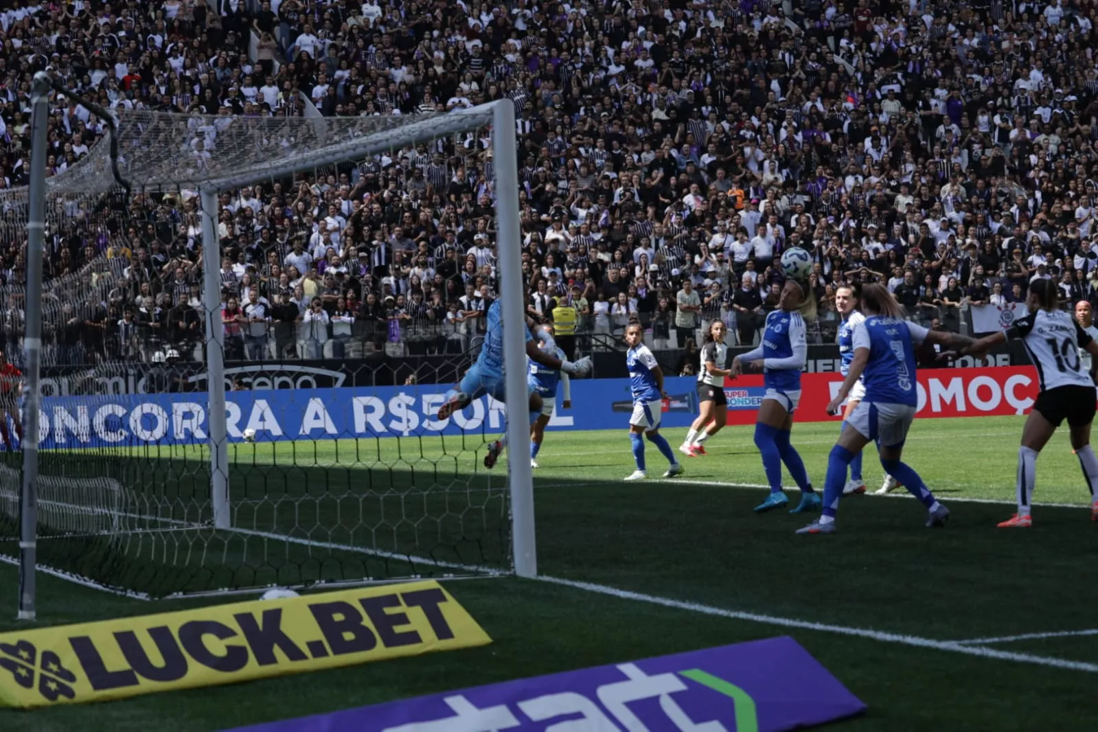 Show de imagens! Veja o título do Corinthians pelas lentes de Reinaldo Calçade 10 WhatsApp Image 2025 09 14 at 13.01.01 2