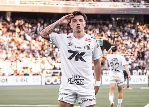 Botafogo 2 x 2 Santos – Peixe empata e vê situação complicada no Brasileirão