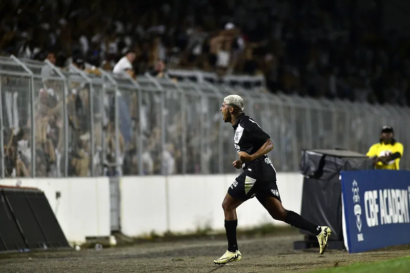 Ponte Preta 2 x 0 Guarani - Macaca na final e Bugre fica na Série C! 5 (Foto: Marcos Ribolli / PontePress)