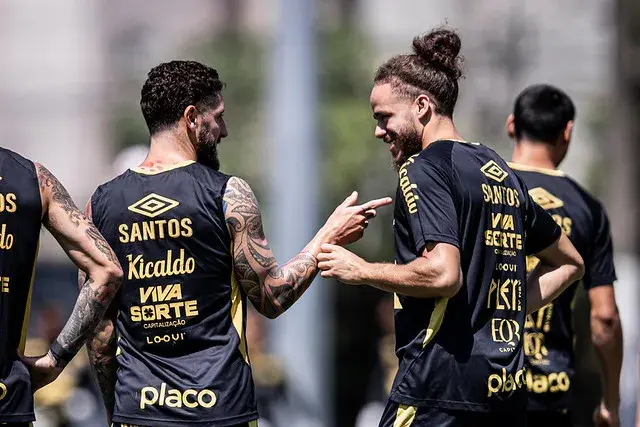 Botafogo x Santos – Onde assistir, escalações e arbitragem!