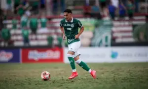 Guarani acerta renovação com volante da base até 2027