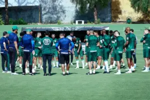 Goiás vive sequência ruim e vê chances de acesso caírem na Série B