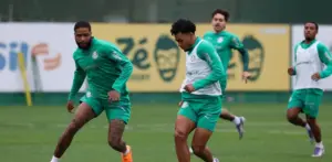 Palmeiras volta aos treinos e conta com retornos para pegar o Juventude