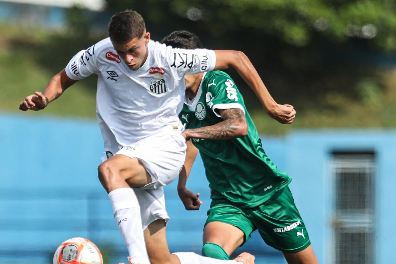 PAULISTA SUB-20: Santos e Palmeiras empatam e São Paulo vence o Guarani