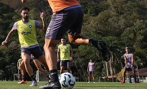 Botafogo entra no G-4 pela primeira vez e mira vaga direta na Libertadores