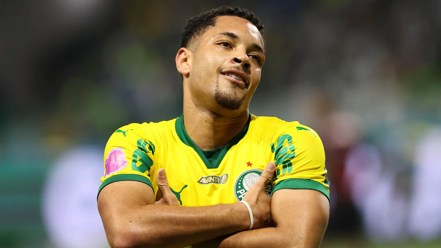 Em noite de clássicos, Palmeiras dispara e Santos respira no Brasileirão