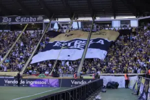 Série B: Criciúma aposta no fator casa para brigar pelo acesso