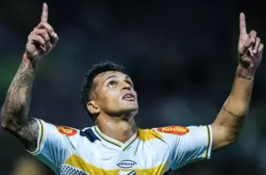 Série B: Novorizontino valoriza empate, mas demonstra chateação com resultado em casa